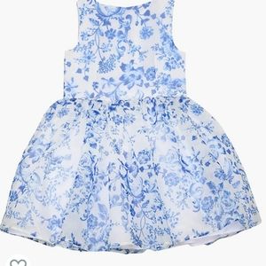 Blue and white floral kids dress